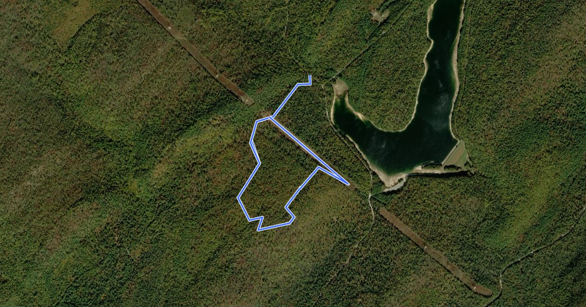 Маршрут Yellow Ridge Trail на спутниковом снимке