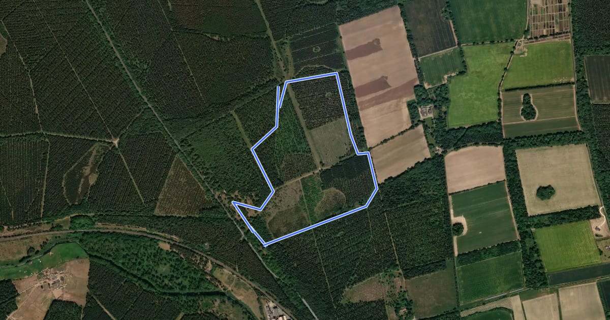 Маршрут Yellow Route на спутниковом снимке