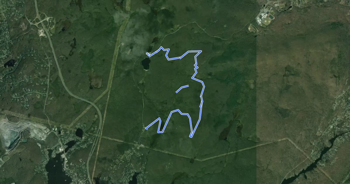 Маршрут Yellow Trail на спутниковом снимке