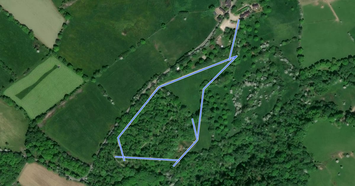 Маршрут Young Woodland Loop на спутниковом снимке