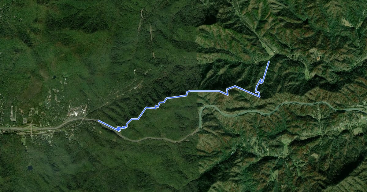 Маршрут Youngs Ridge Trail на спутниковом снимке