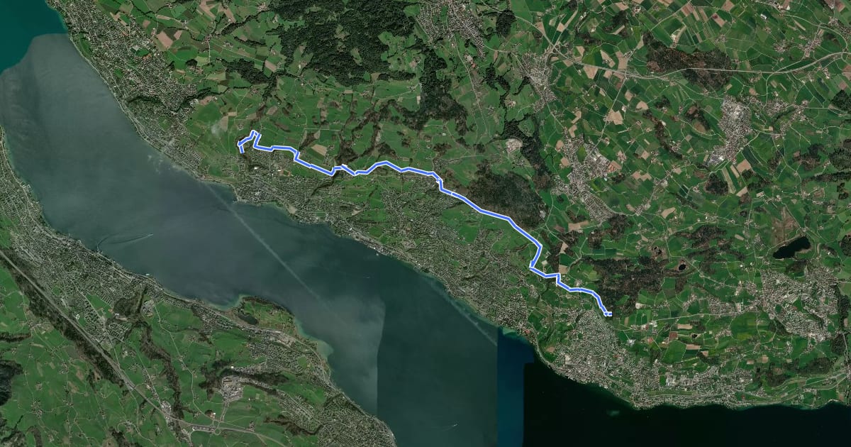 Маршрут Zürichsee Rundweg - Etappe 8 на спутниковом снимке