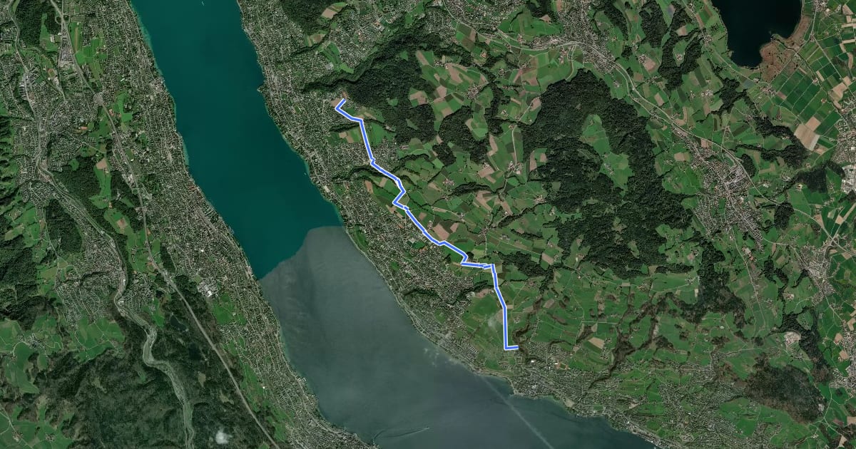 Маршрут Zürichsee Rundweg - Etappe 9 на спутниковом снимке