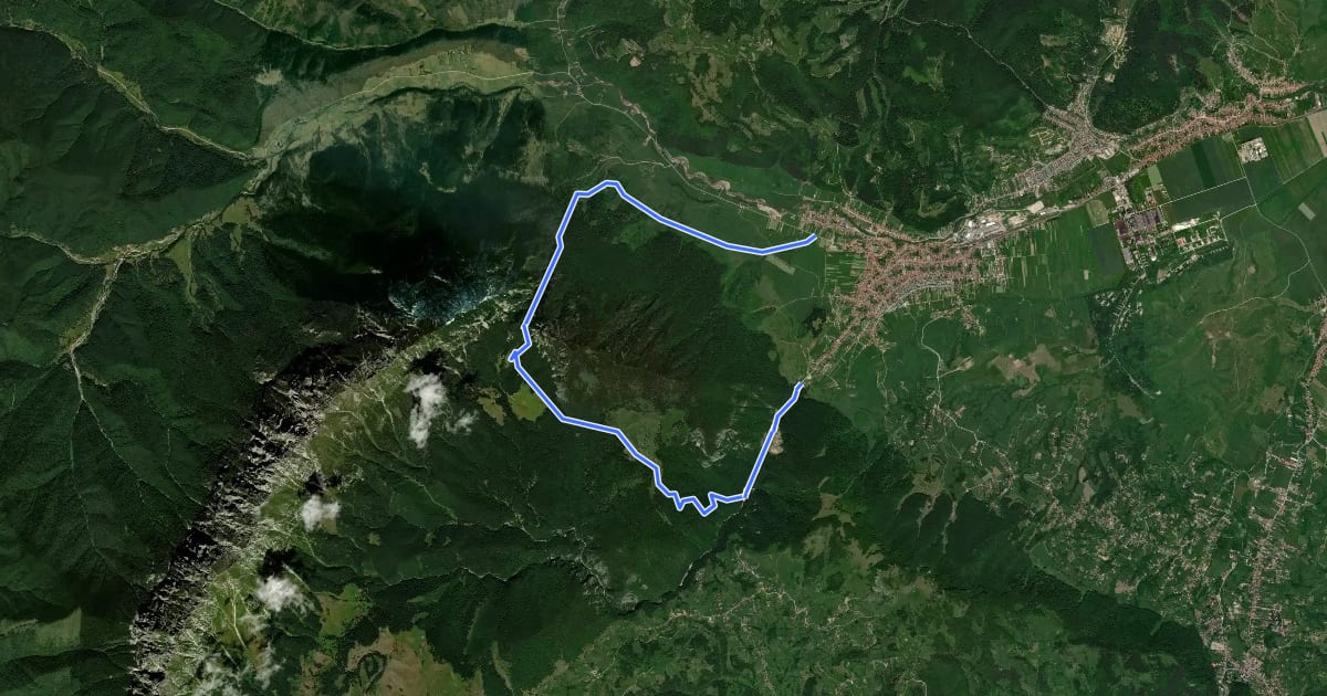 Маршрут Zărnești-Valea Crăpăturii-Cabana Gura Râului на спутниковом снимке