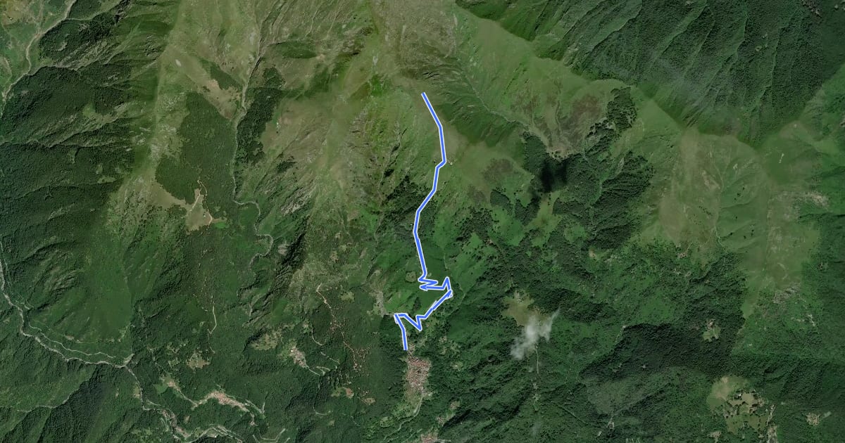 Маршрут Z04a - Luzzogno - Alpe Campallero на спутниковом снимке