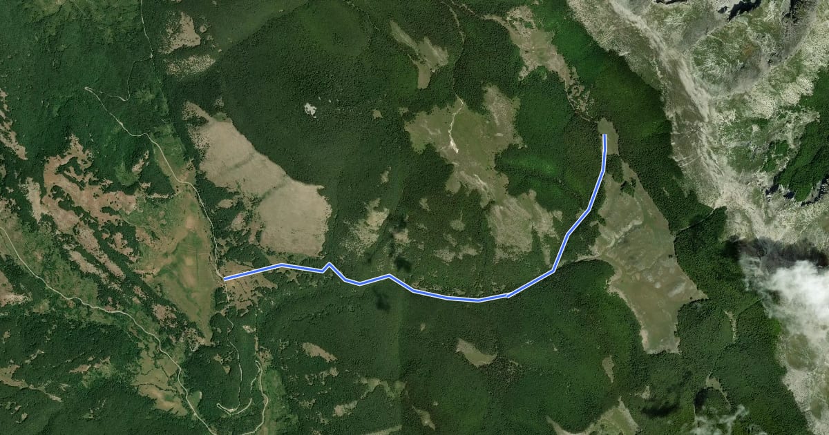 Маршрут Z1 на спутниковом снимке