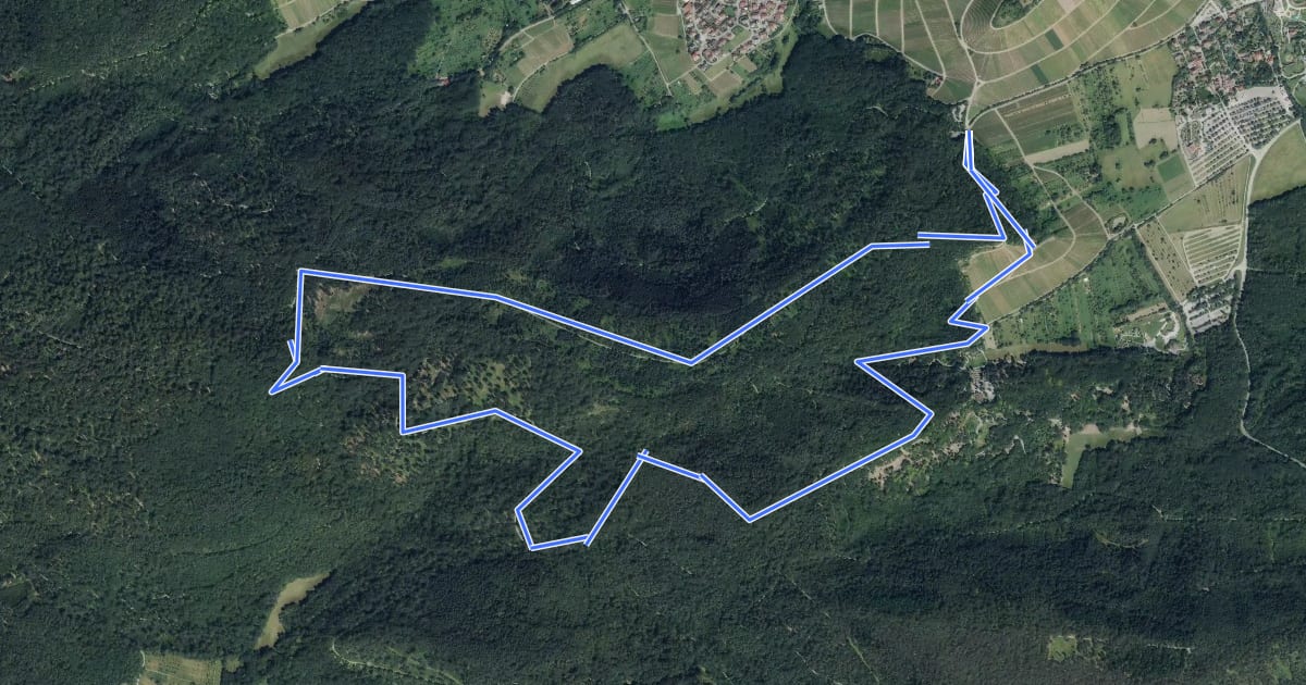 Маршрут Z2 Berg. Wald. Wolf. - Wanderdreiklang Cleebronn на спутниковом снимке