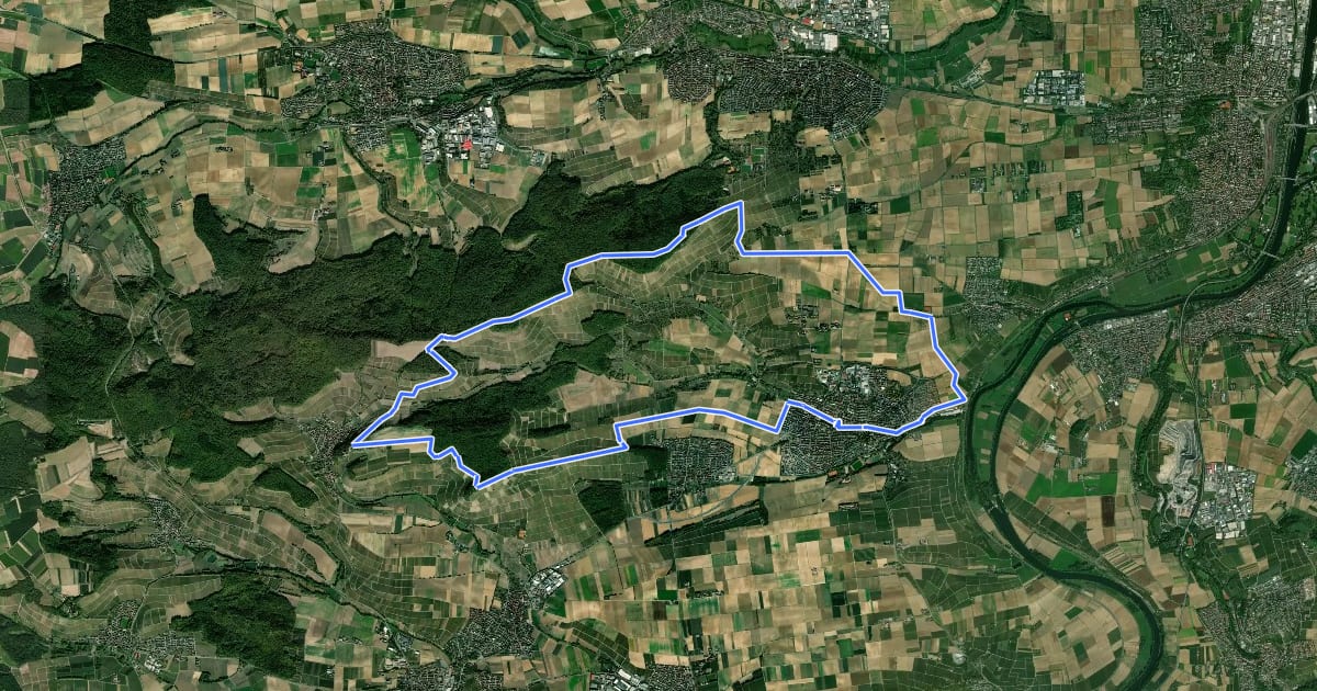 Маршрут Z7 Panoramatour Heuchelberg на спутниковом снимке