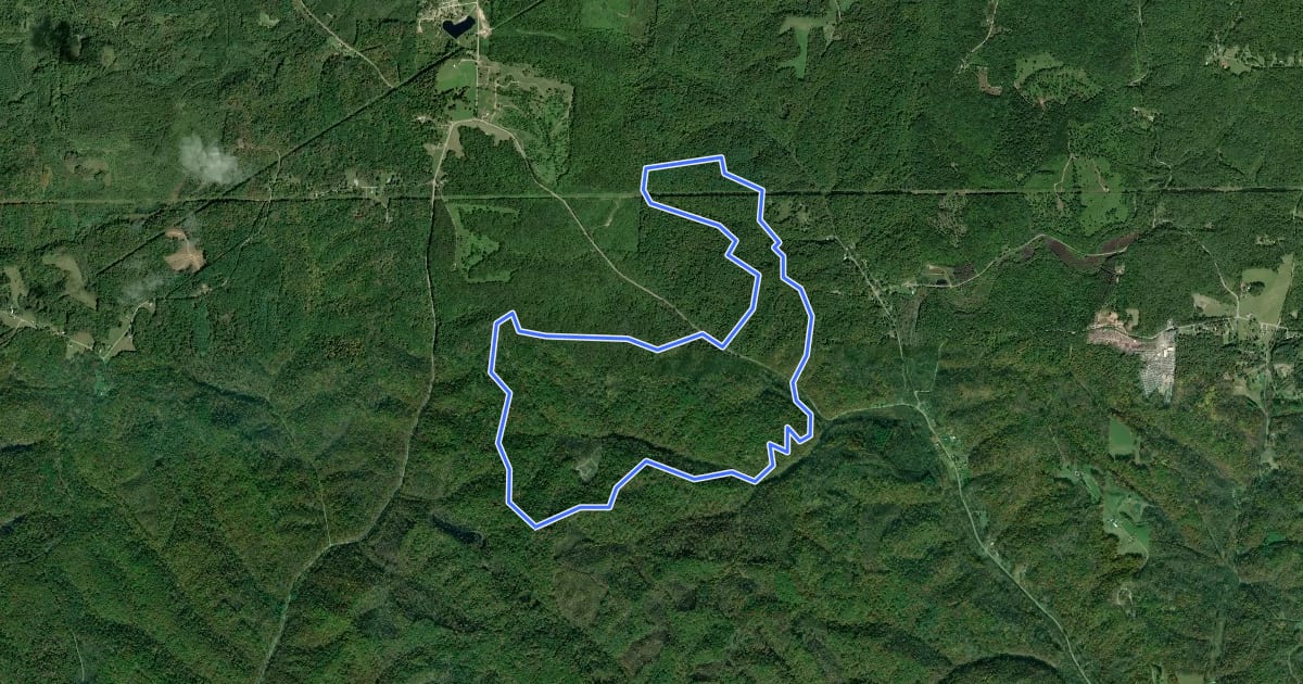 Маршрут Zaleski Backpack Trail - North Loop на спутниковом снимке