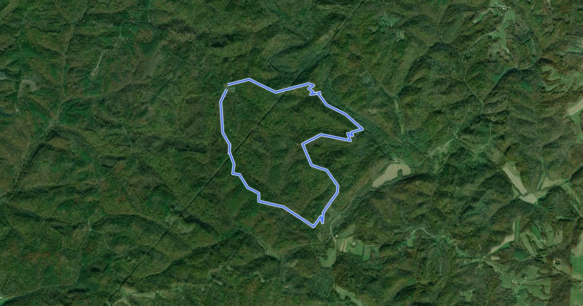 Маршрут Zaleski Forest - Black Loop на спутниковом снимке