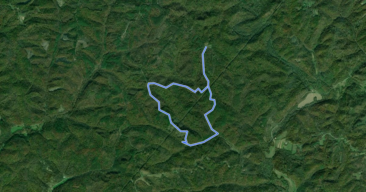 Маршрут Zaleski Forest - Red Loop на спутниковом снимке