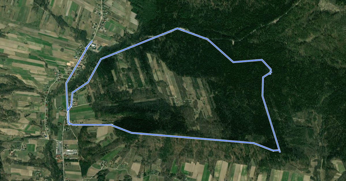 Маршрут Zamczysko (Czas w Las) на спутниковом снимке