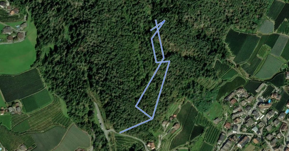 Маршрут Zauberweg на спутниковом снимке