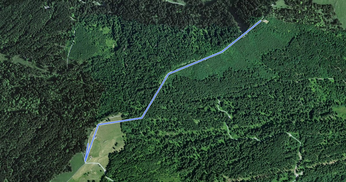 Маршрут Zauggenhütte - Rinderweidhorn на спутниковом снимке
