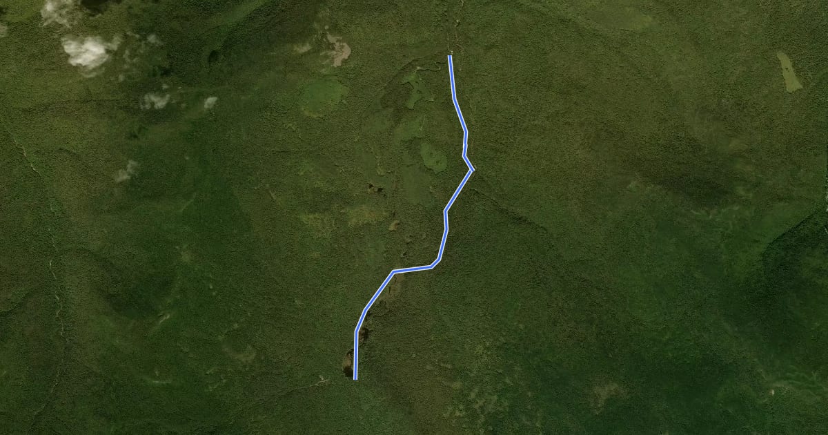 Маршрут Zealand Trail на спутниковом снимке