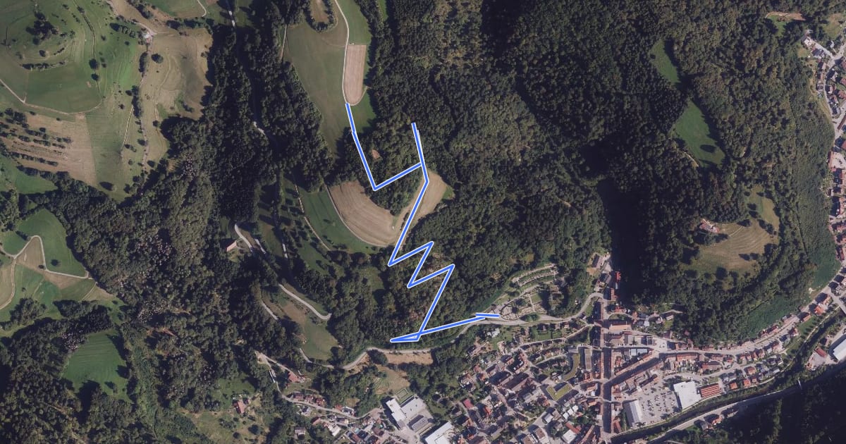 Маршрут Zell im Wiesental Friedhof - Schänzle на спутниковом снимке