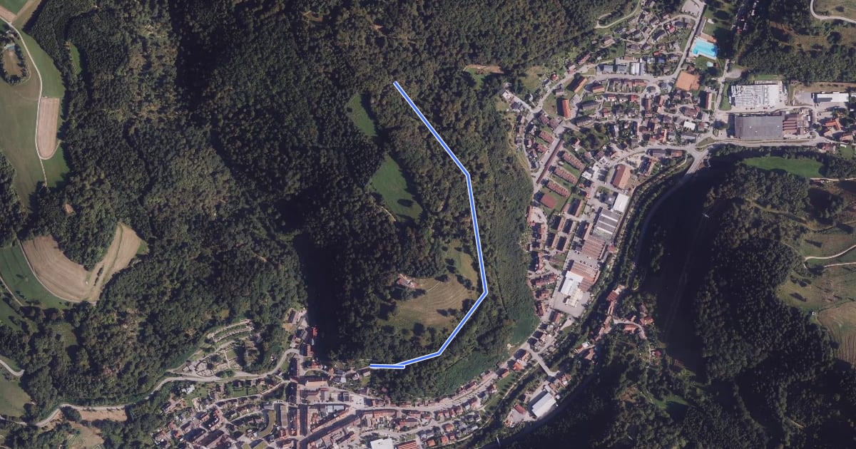 Маршрут Zell im Wiesental Wasserreservoir - Vorderes Fuchsloch на спутниковом снимке