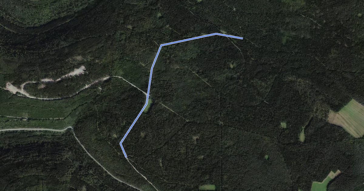 Маршрут Zellerholzhütte - Schwannbrückle на спутниковом снимке