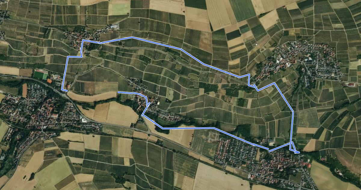 Маршрут Zellertalweg Wachenheim на спутниковом снимке