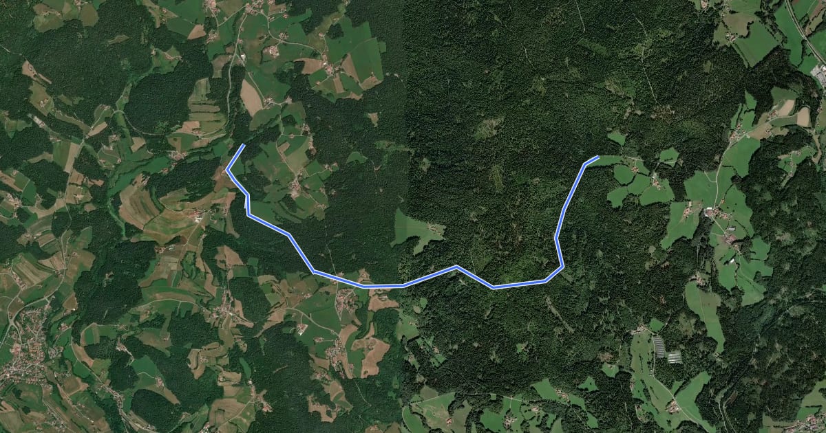 Маршрут Zielwanderweg 2 Arnbruck - Wiesing на спутниковом снимке
