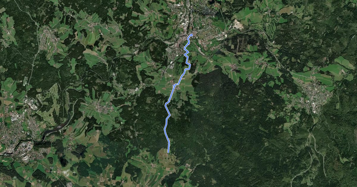 Маршрут Zielwanderweg 5 (Zwiesel-Rinchnach) на спутниковом снимке