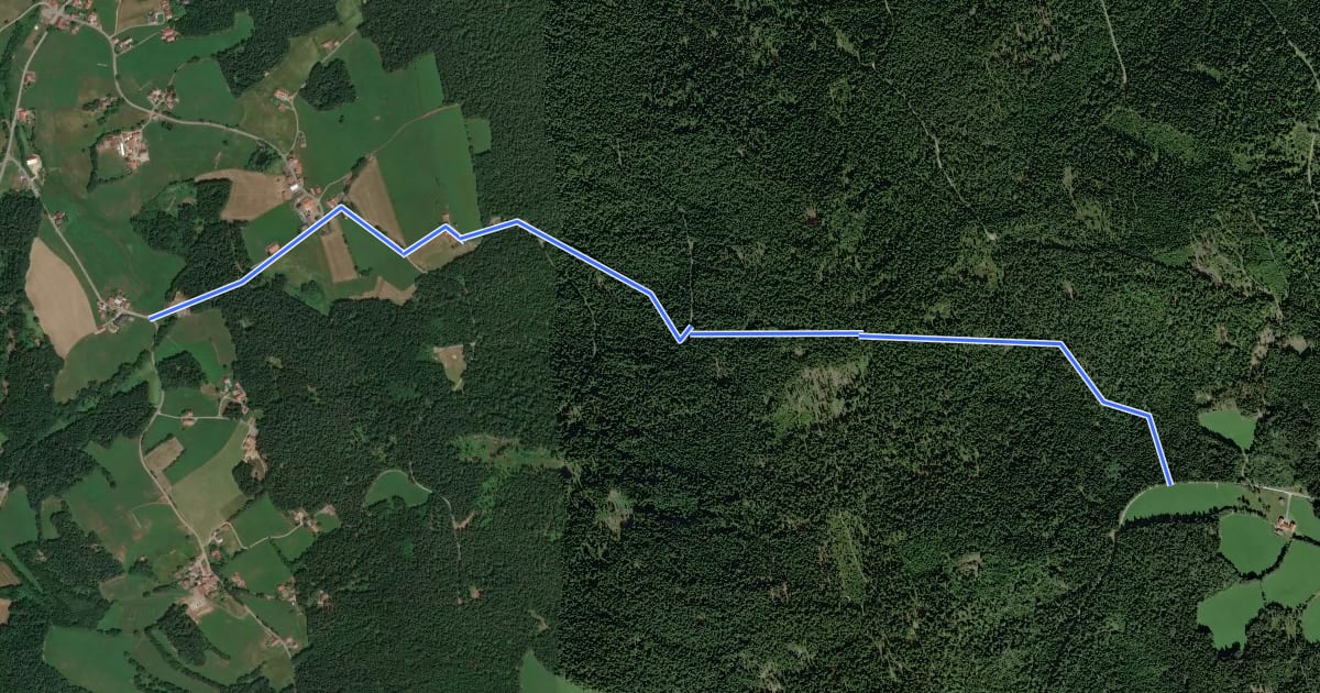 Маршрут Zielwanderweg Drachselsried - Wiesing на спутниковом снимке