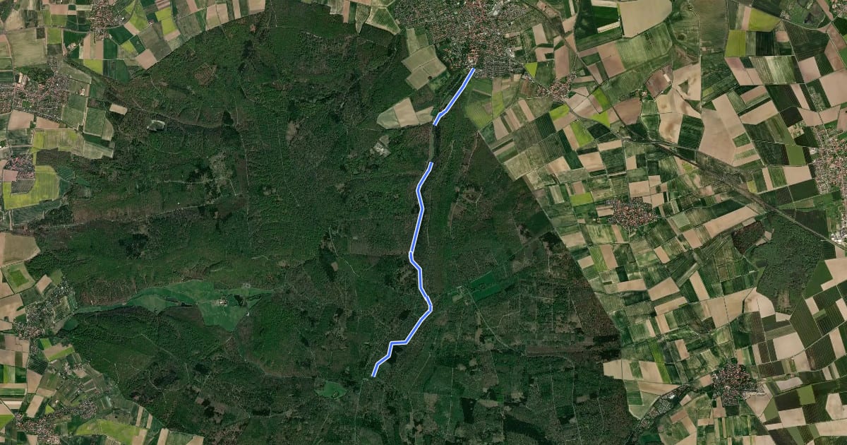 Маршрут Zielwanderweg Königslutter-Lutterspring-Tetzelstein на спутниковом снимке