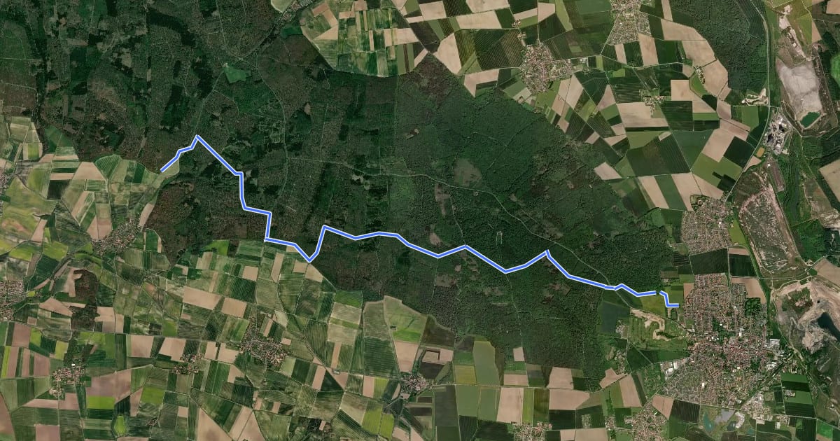 Маршрут Zielwanderweg Schöningen - Watzumer Häuschen на спутниковом снимке