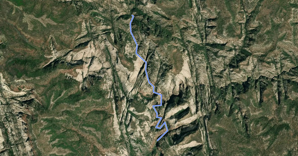 Маршрут Zion Narrows Bottom-Up Day-Hiking Route на спутниковом снимке