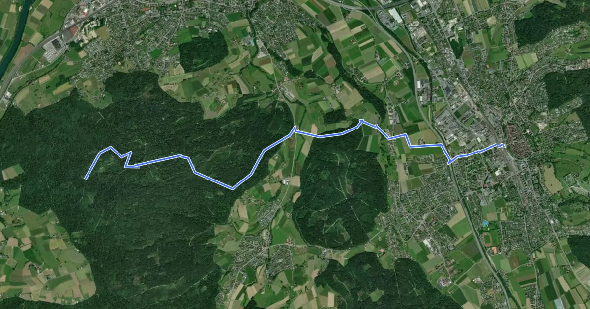Маршрут Zofingen - Langholz на спутниковом снимке
