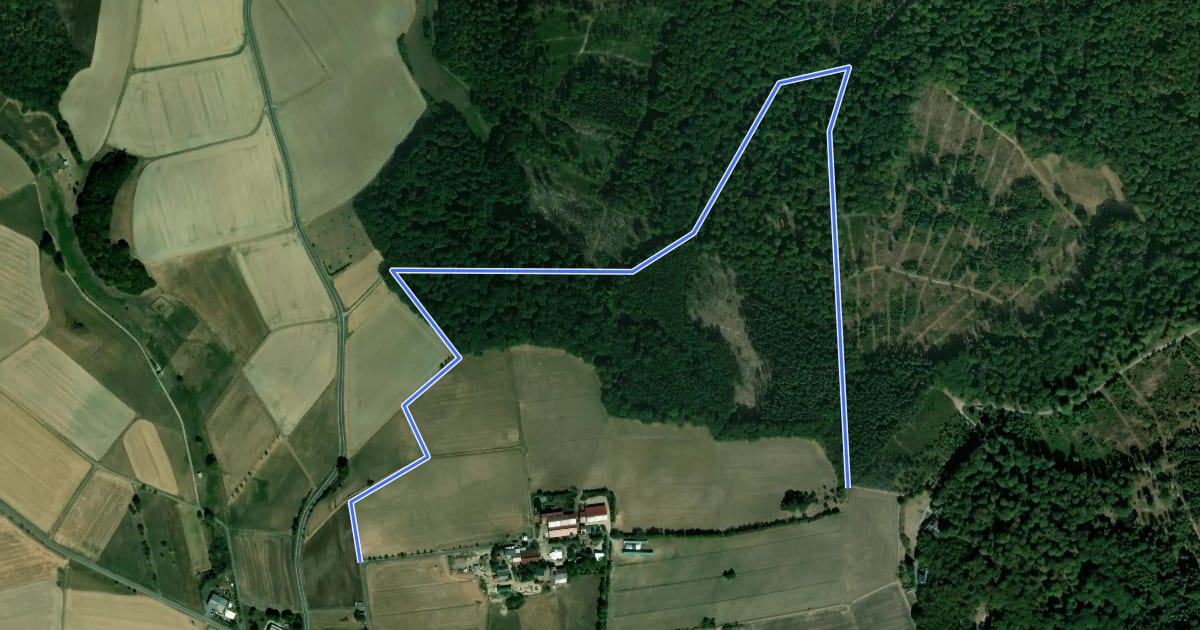 Маршрут Zorner Runde Pfaffenwald на спутниковом снимке