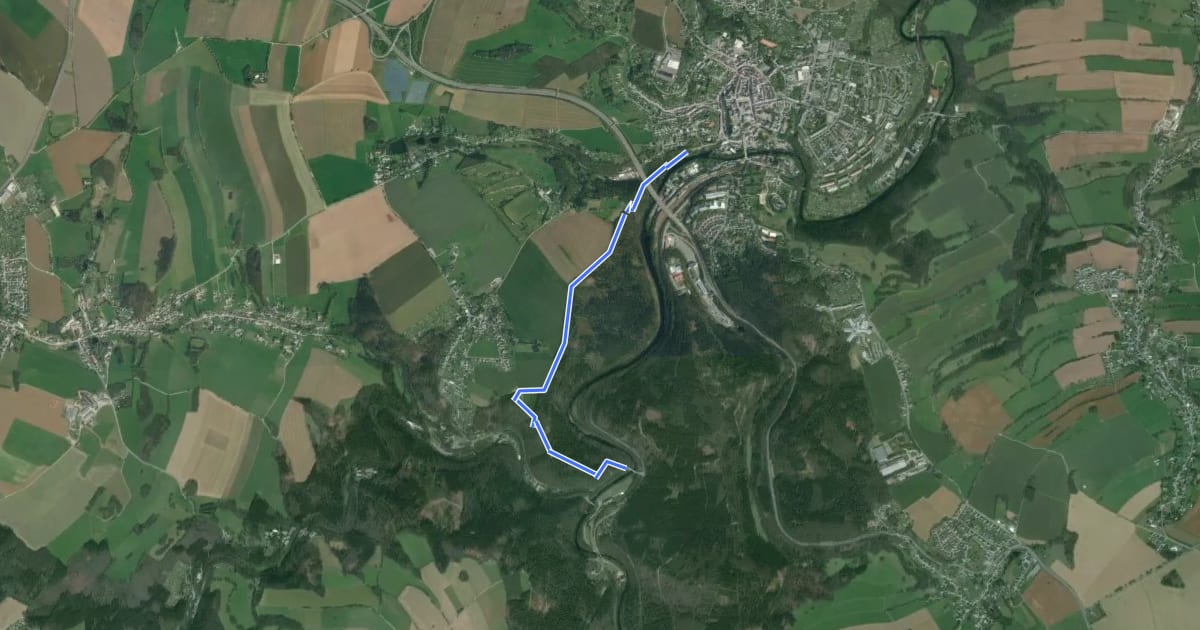 Маршрут Zschopau - über Bodemerkanzel - Reinhardshöhe - Wilichthal на спутниковом снимке