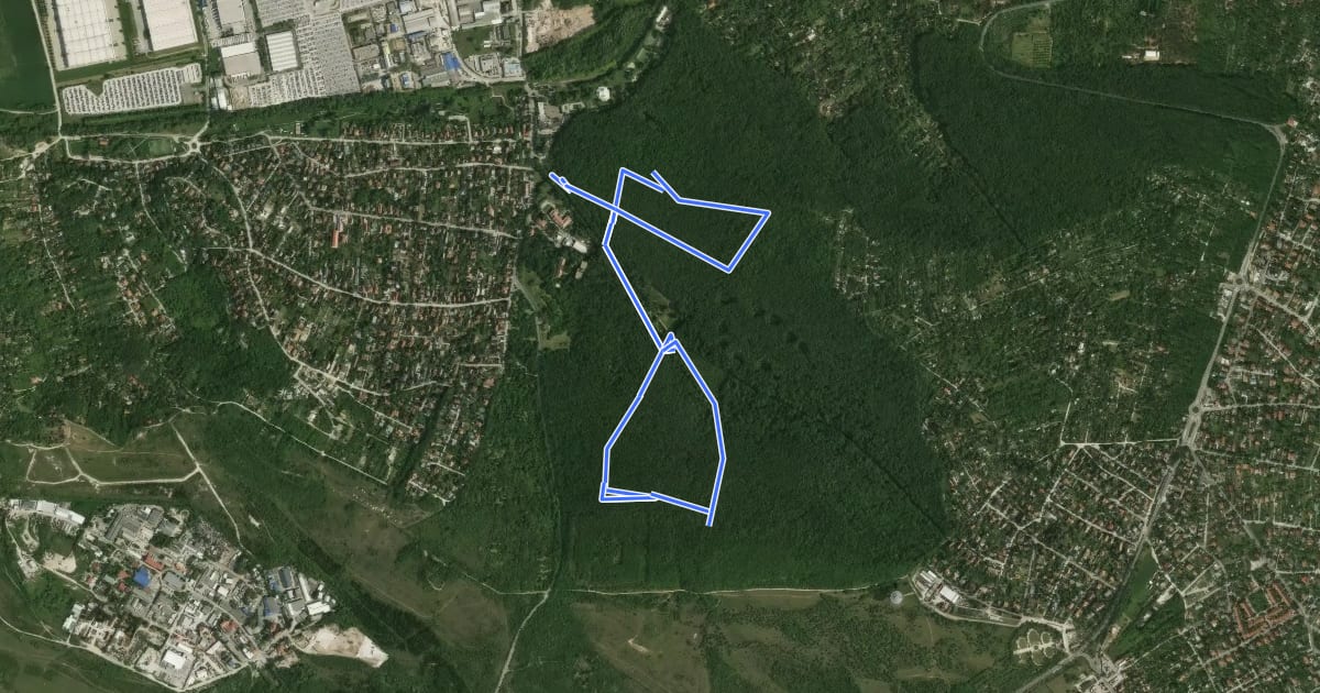 Маршрут ZT, Kamaraerdei tanösvény (Susulyka utca – Nagy-rét – Kamara-erdő, erdészház) на спутниковом снимке