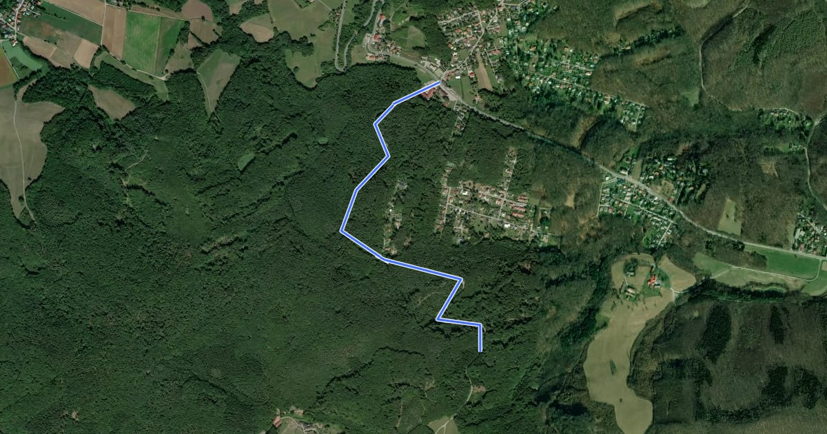 Маршрут Zubringer Riederberg на спутниковом снимке