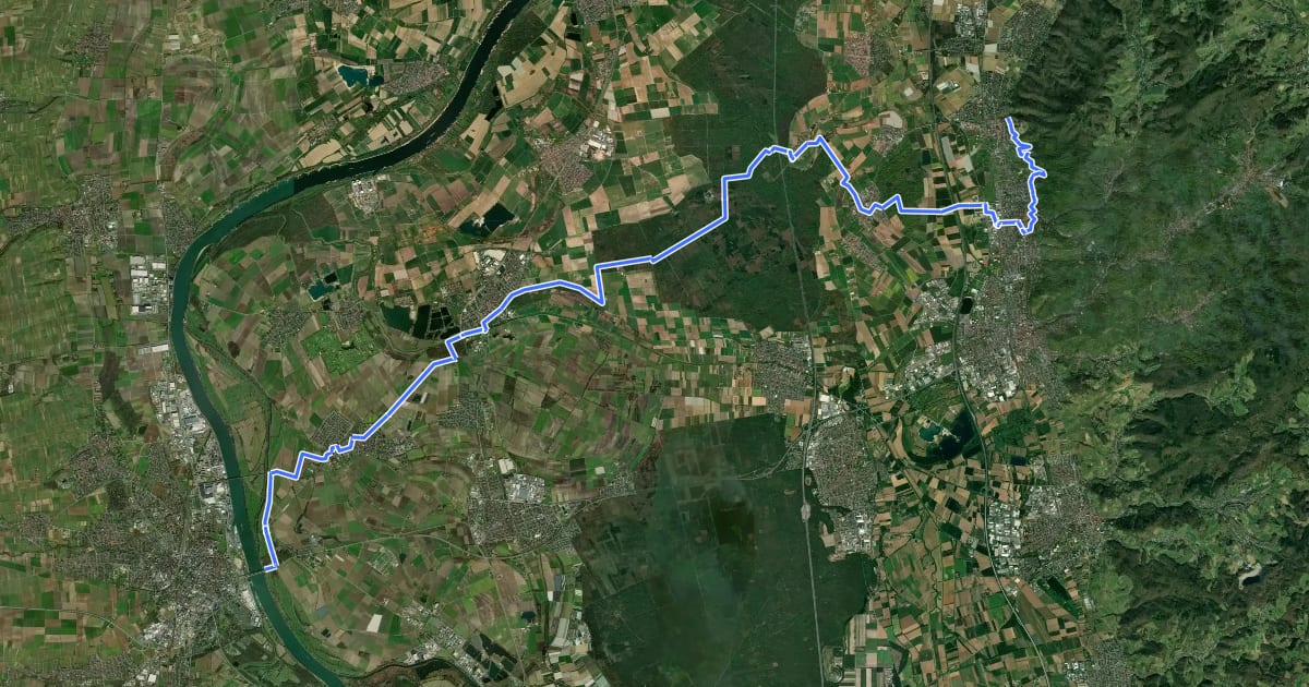 Маршрут Zubringerweg zum Nibelungensteig durch das Ried на спутниковом снимке