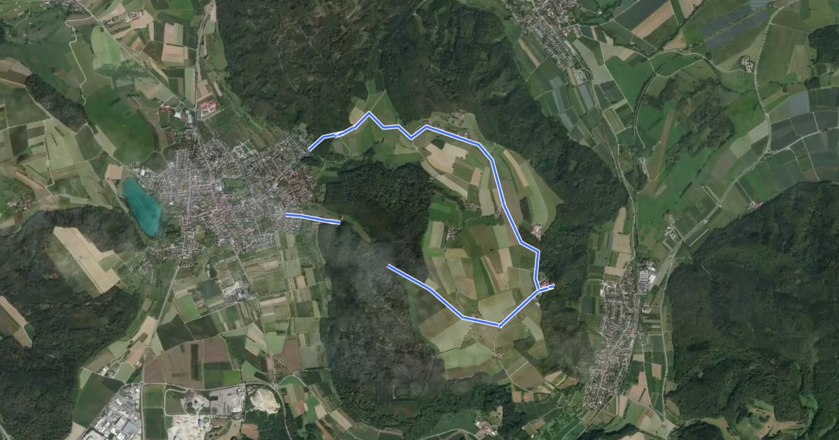 Маршрут Zur Ruine Homburg на спутниковом снимке