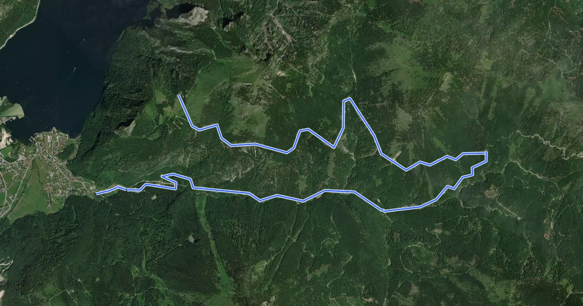 Маршрут Zur Spitzlsteinalm на спутниковом снимке