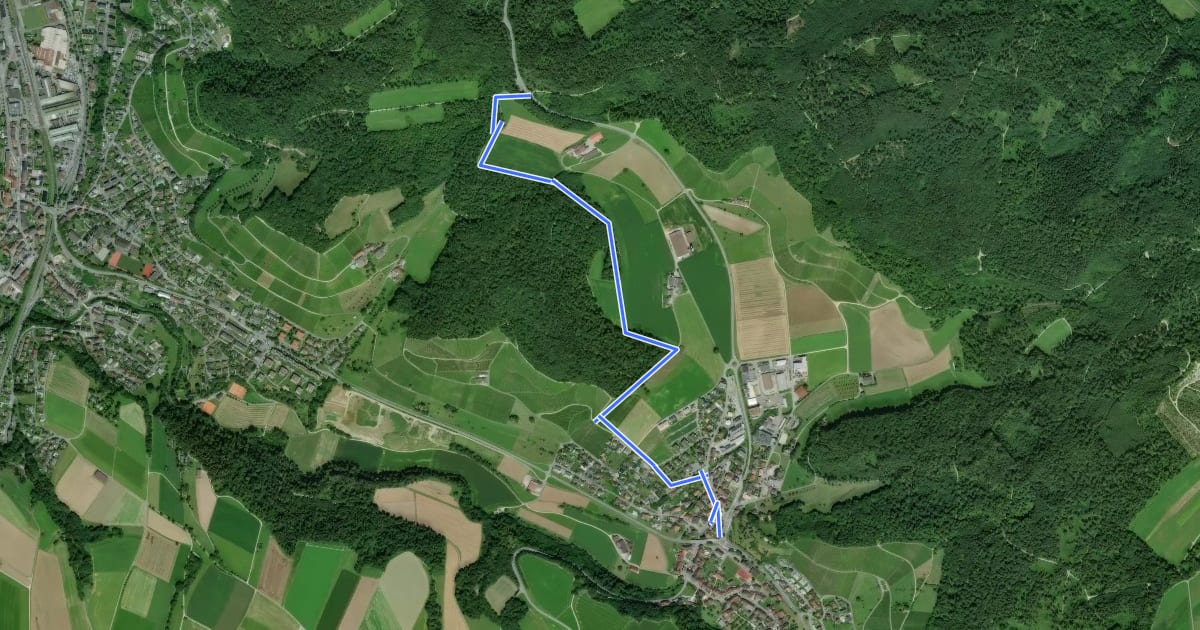 Маршрут Zurzacherberg - Tegerfelden на спутниковом снимке