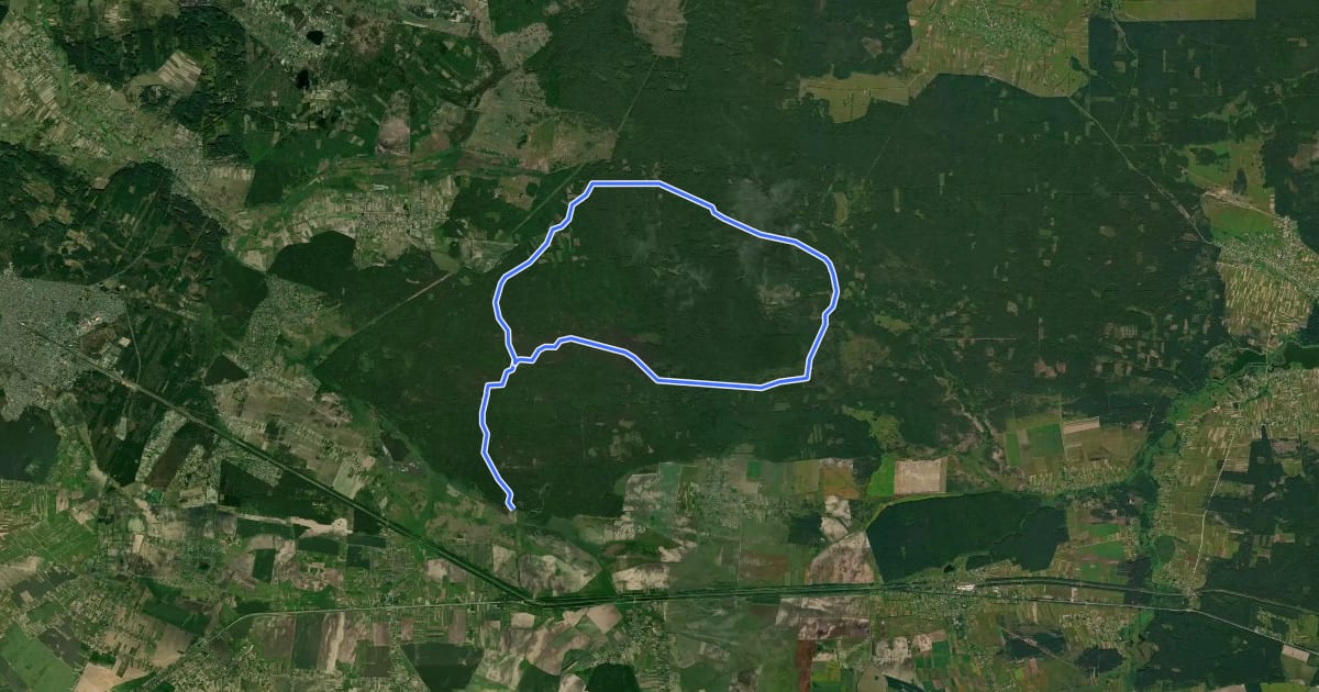 Маршрут Звірівський ліс на спутниковом снимке