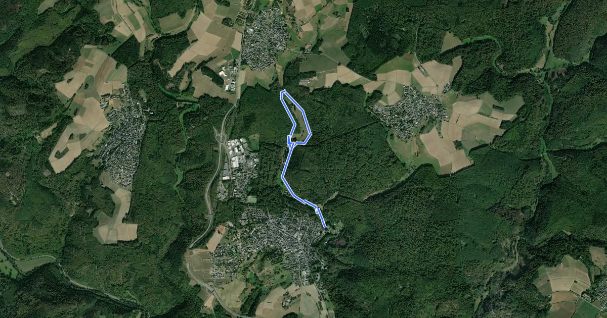 Маршрут Zwergenweg 1 ("Wasserspaß und Wildgehege") на спутниковом снимке