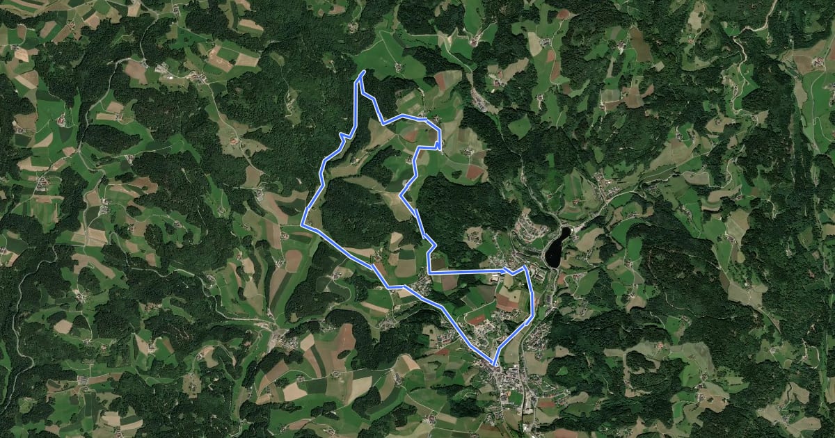 Маршрут Zwickelgrabenrunde на спутниковом снимке